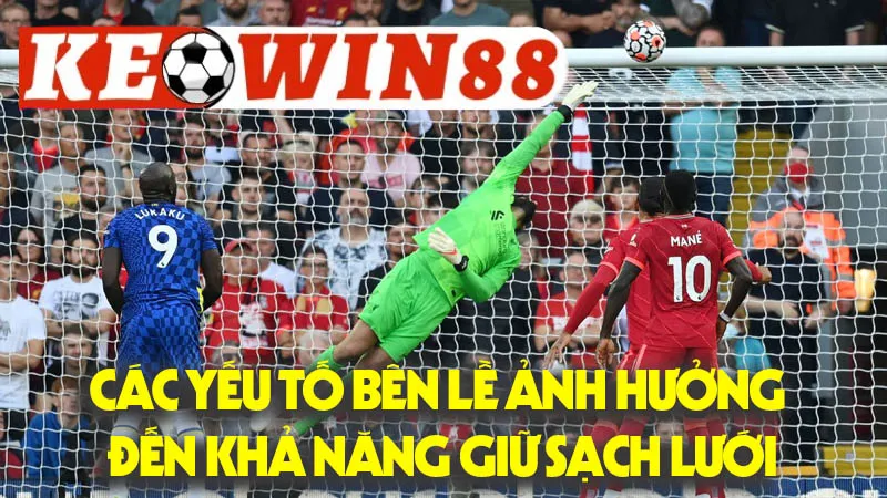 Các Yếu Tố Bên Lề Ảnh Hưởng Đến Khả Năng Giữ Sạch Lưới Các Yếu Tố Bên Lề Ảnh Hưởng Đến Khả Năng Giữ Sạch Lưới