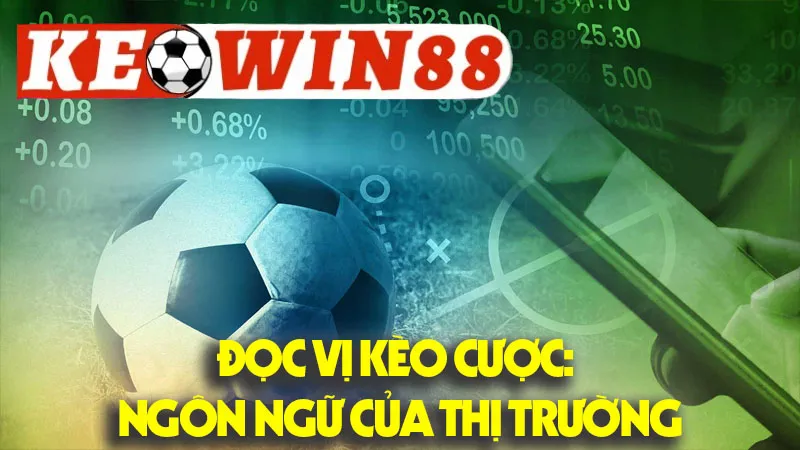 Đọc Vị Kèo Cược: Ngôn Ngữ Của Thị Trường Đọc Vị Kèo Cược: Ngôn Ngữ Của Thị Trường