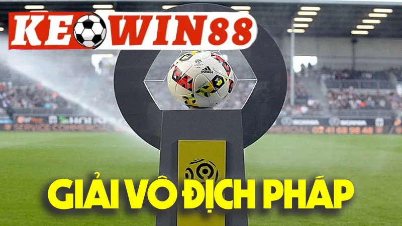 Giải Vô Địch Pháp