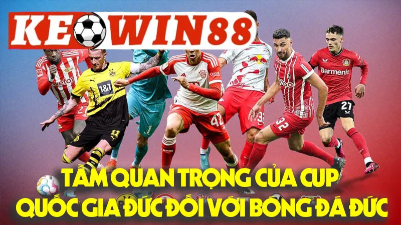 Tầm Quan Trọng Của Cup Quốc Gia Đức Đối Với Bóng Đá Đức Tầm Quan Trọng Của Cup Quốc Gia Đức Đối Với Bóng Đá Đức