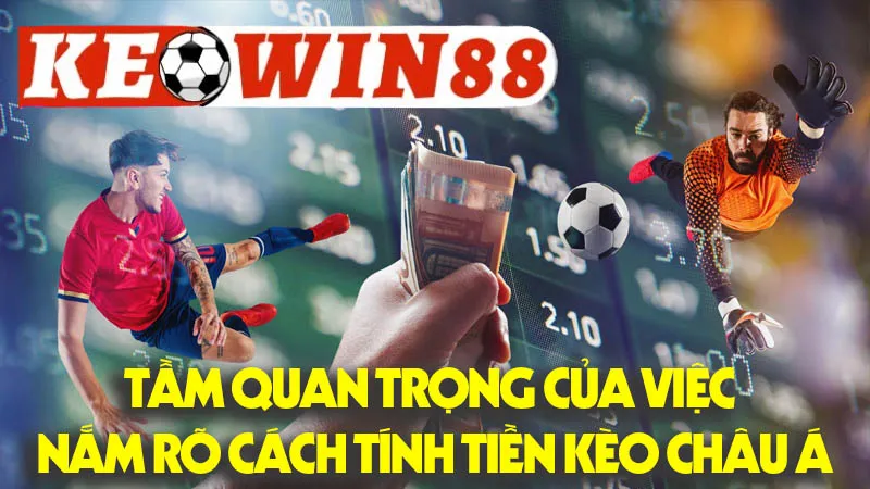 Tầm Quan Trọng Của Việc Nắm Rõ Cách Tính Tiền Kèo Châu Á Tầm Quan Trọng Của Việc Nắm Rõ Cách Tính Tiền Kèo Châu Á